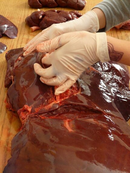 Wątroba Wołowa 3L | pkg